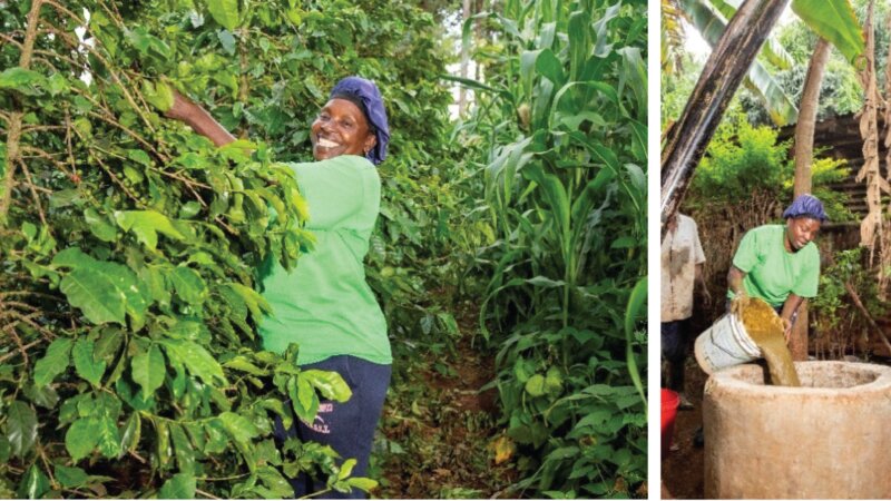 Revolutionizing Energy and Agriculture: The African Biodigester Component Project in Kenya