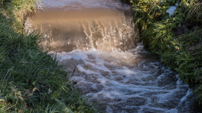 Developing the Salinity Transition Approach for Progress (STAP)