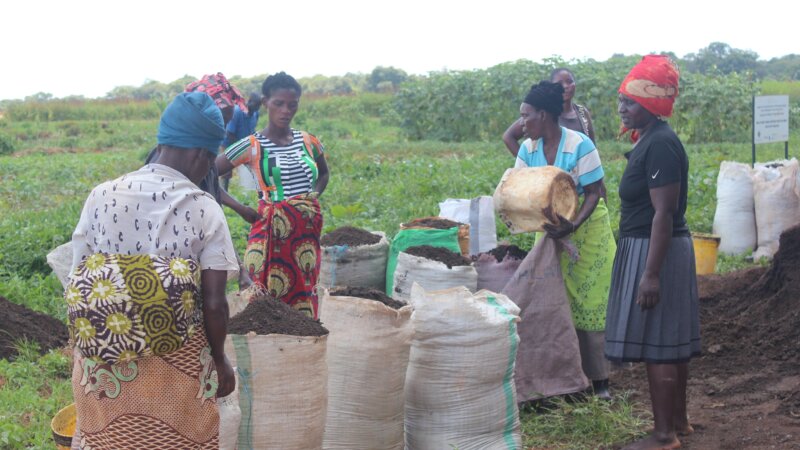 Food systems & agriculture on the agenda of COP28