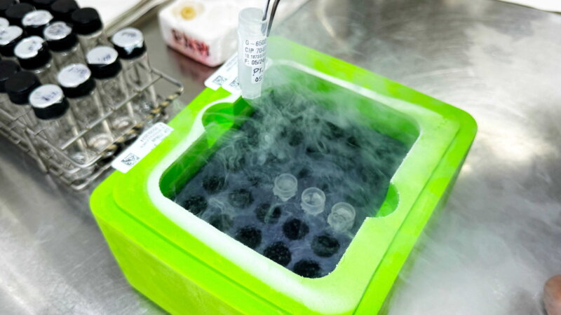 The world eats from a freezer most people will never see