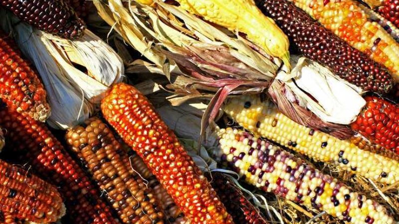 Exploring food systems action in fragile and conflict-affected settings: scoping reports
