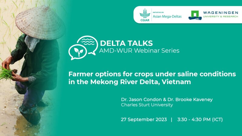 Delta Talks: Farmer options for crops under saline conditions in the Mekong River Delta, Vietnam