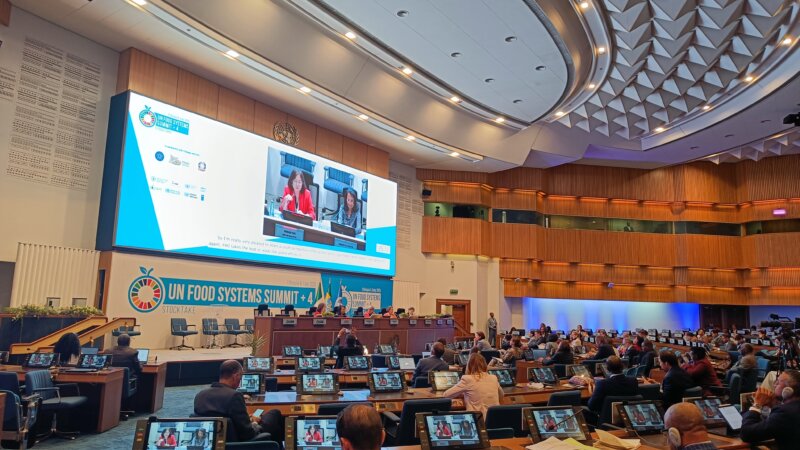 The UNFSS+4 Stocktake: Key Takeaways