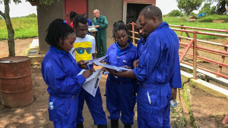 DSAT: Navigating dairy sustainability for a flourishing future