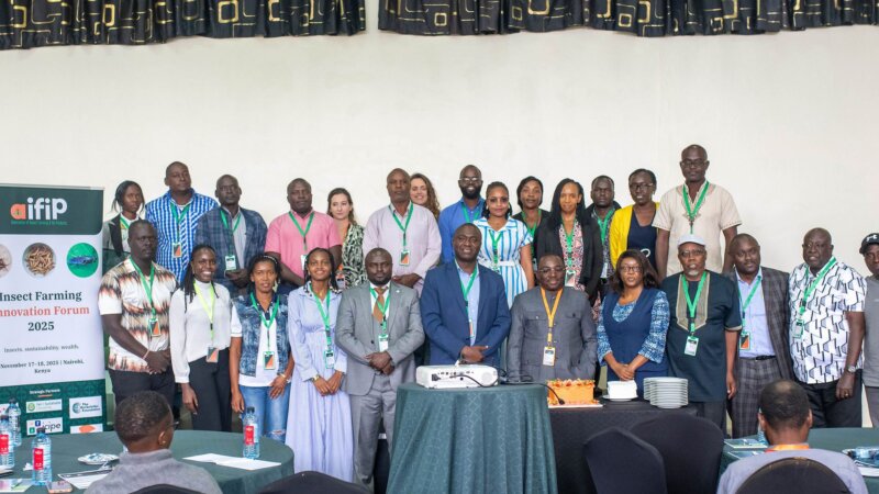 Momentum for Insect-Based Solutions in East Africa