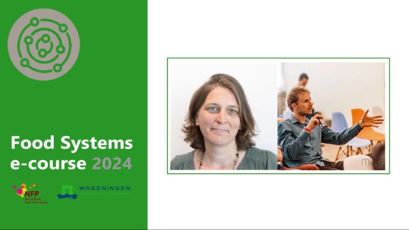 Webinar: The value of systems thinking in understanding food systems
