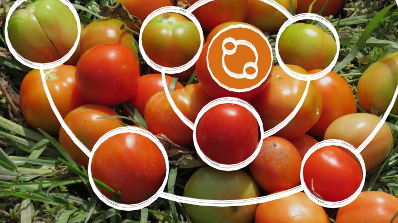 The 2024 food systems e-course takeaways