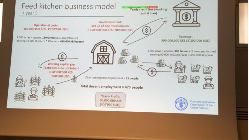 NEADAP at FAO Session on Commercializing the Feed and Livestock Sector in East Africa