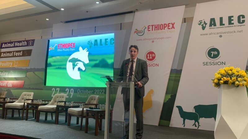 Exploring the Dairy Development Landscape: A Conversation with Meeuwes Brouwer, Agricultural Counsellor of the Netherlands embassy in Ethiopia