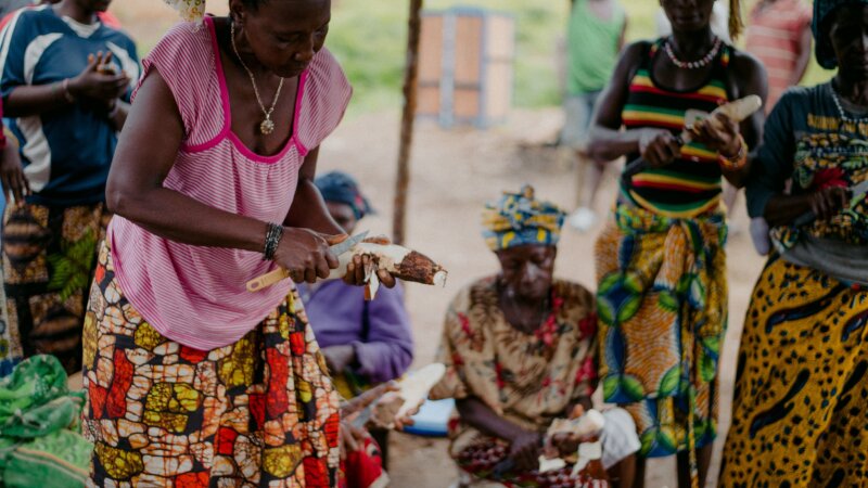 Continuation NL-CGIAR research for global food and nutrition security