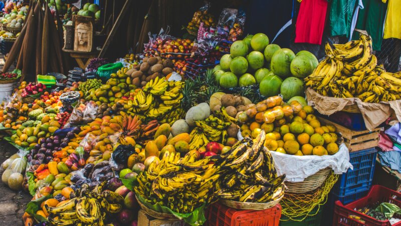 Connecting biodiversity and sustainable healthy diets through partnerships