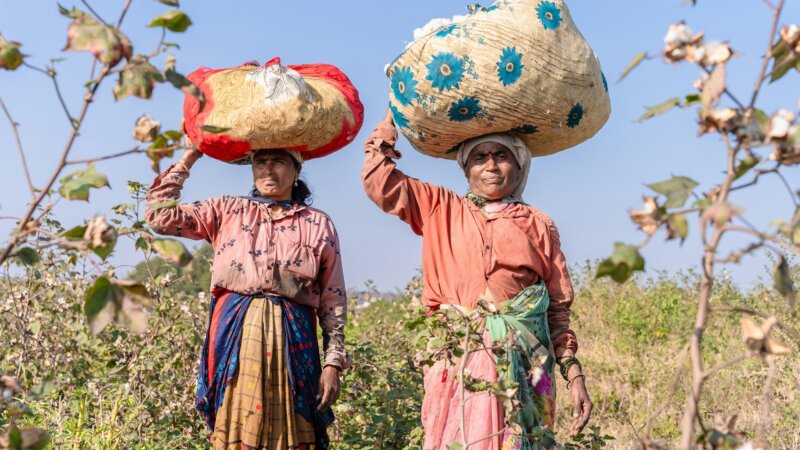 CGIAR Climate Community of Practice Launch