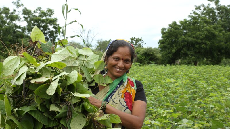 CGIAR 2022 Portfolio Narrative