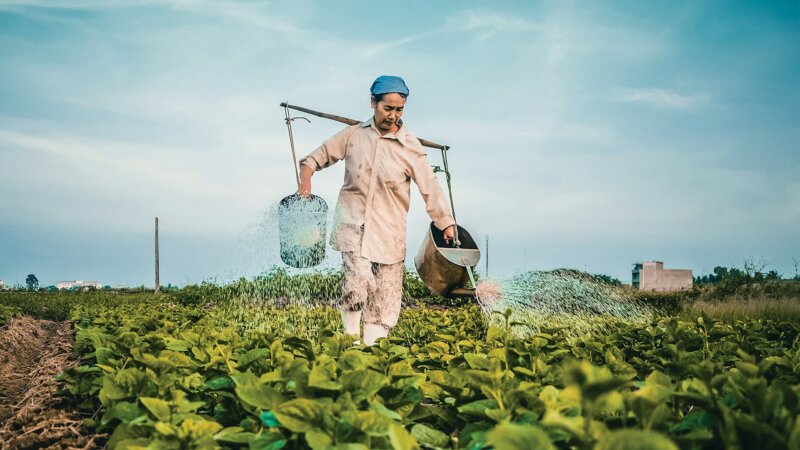 Study Report: Biodiversity in the food system - A preliminary exploration