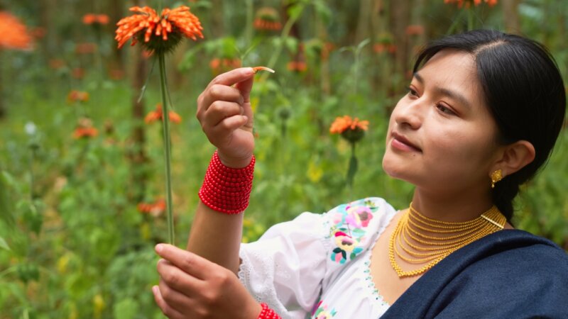 New IPBES Report Underscores the Role of Business in Biodiversity