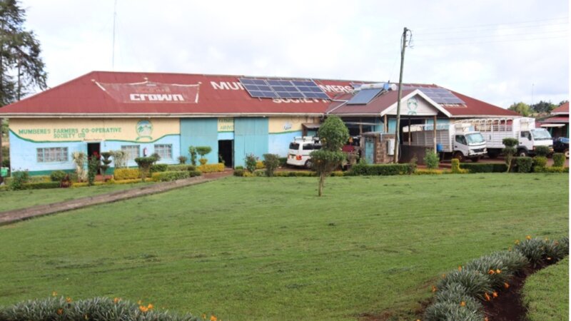 Quality Pays: A New Era for Mumberes Farmers