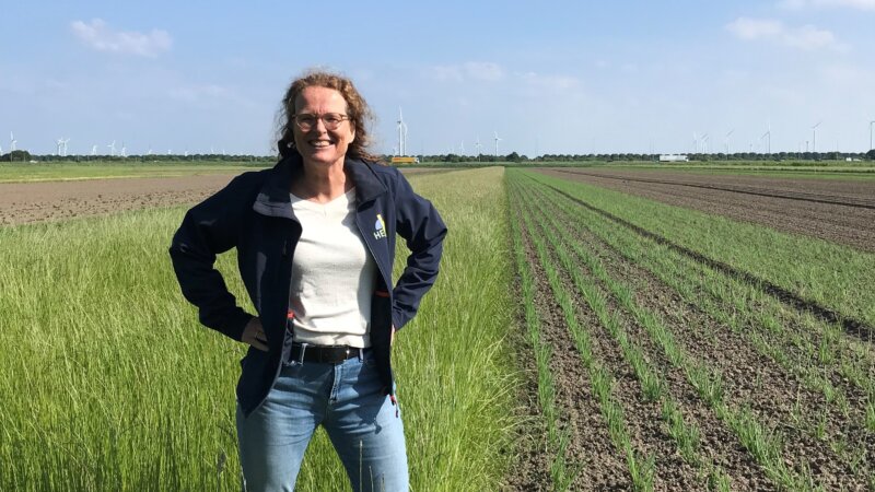 “We dare to allocate land for biodiversity” - Interview with Dutch lighthouse farms ERF BV and Hemus
