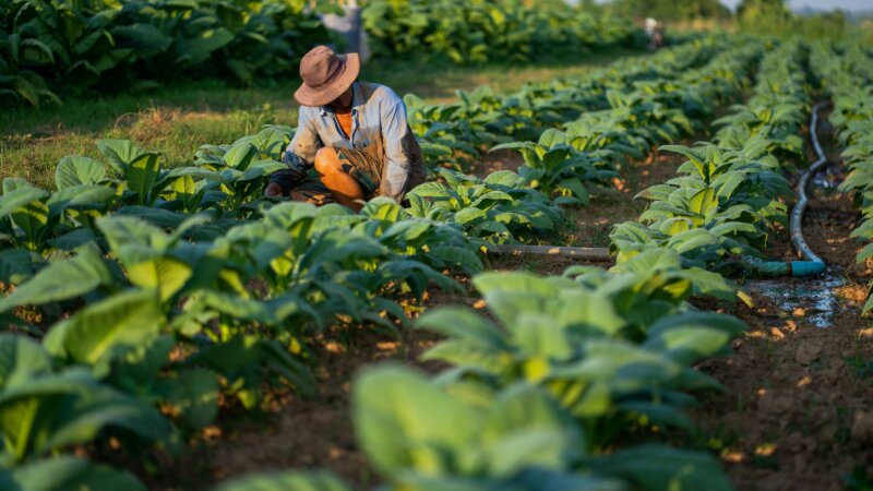 Call to submit a paper: Special Issue on Responsible Scaling for Transformational Impact