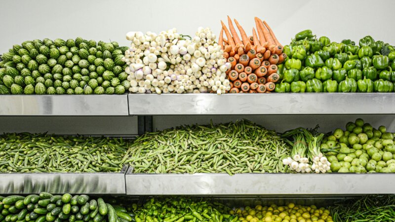 Investing in Cold Chain Solutions