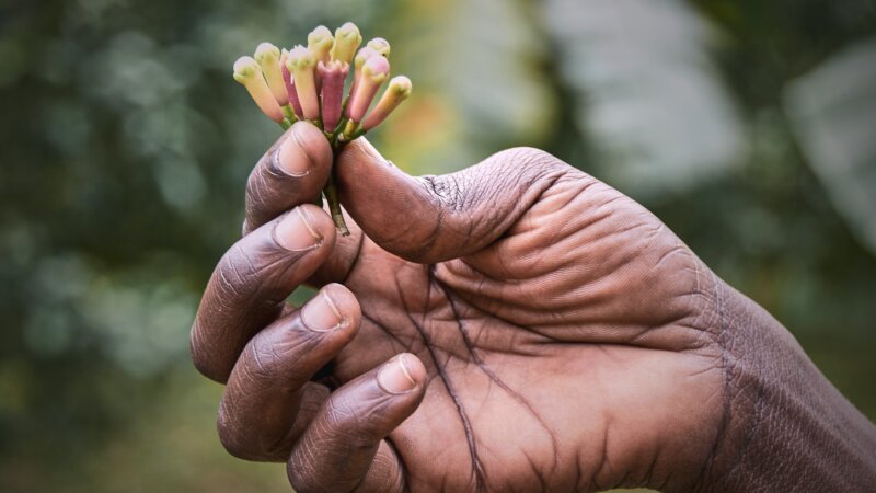 Ag4Dev49: Special issue on biodiversity and food systems
