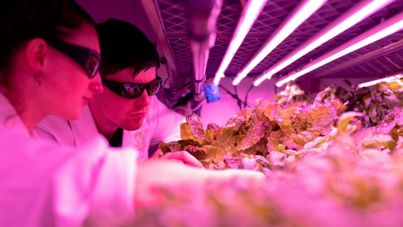 Spotlight on CGIAR's 2025 - 2030 Research Portfolio