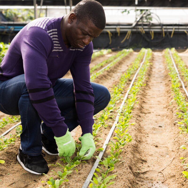 Who is NFP Connects for?