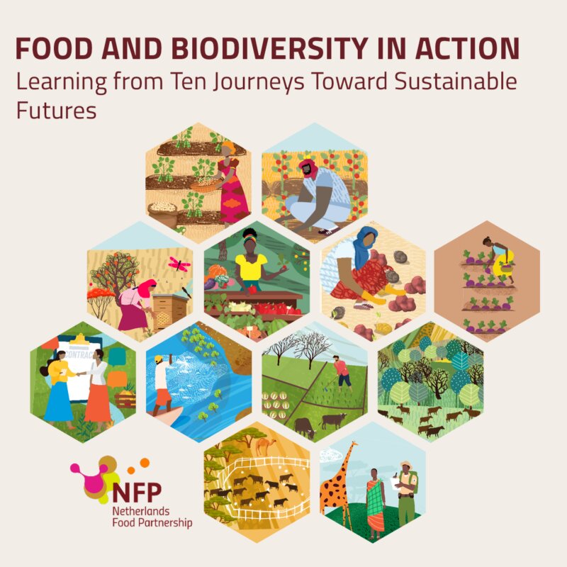 Food & Biodiversity in Action: learning from 10 journeys to sustainable futures