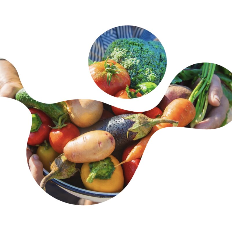 Earlier editions of the e-course