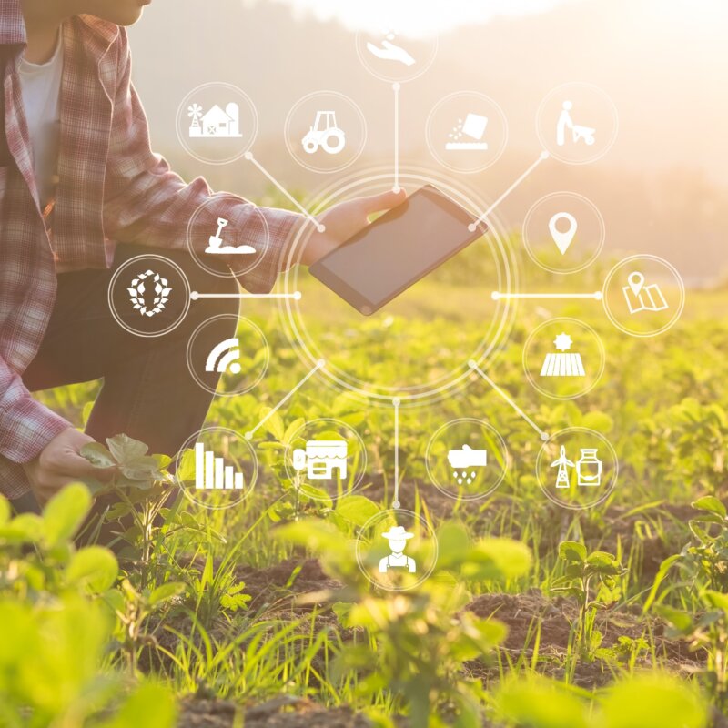 Future Pledge to action sprints