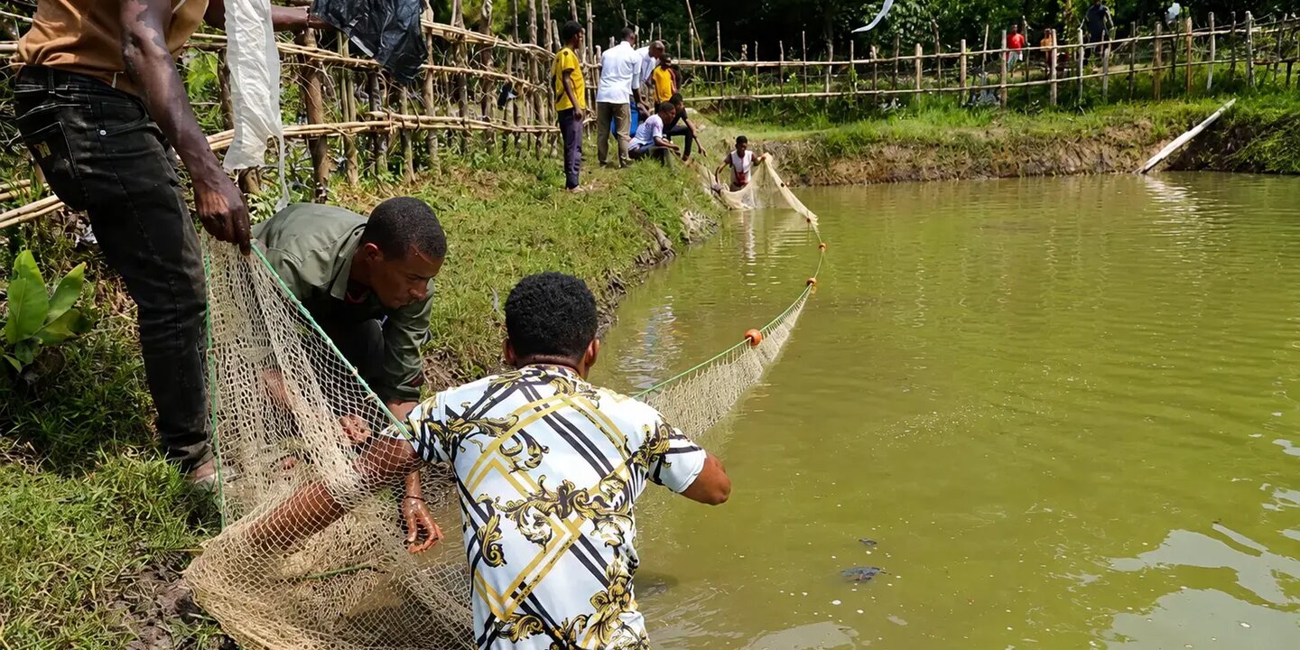 Eyerus Blog fishpond