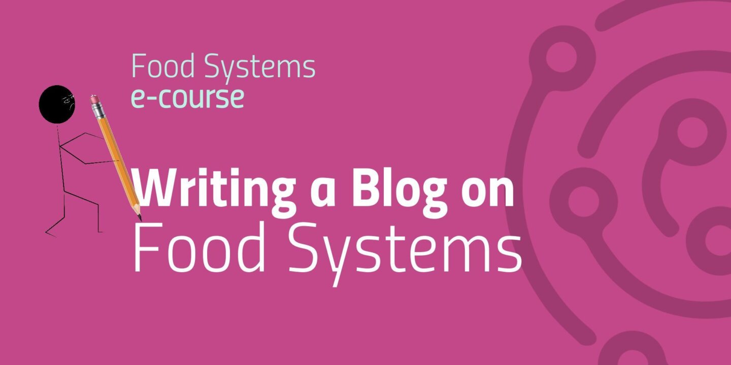 Blog Writing Guide e course Thumbnail