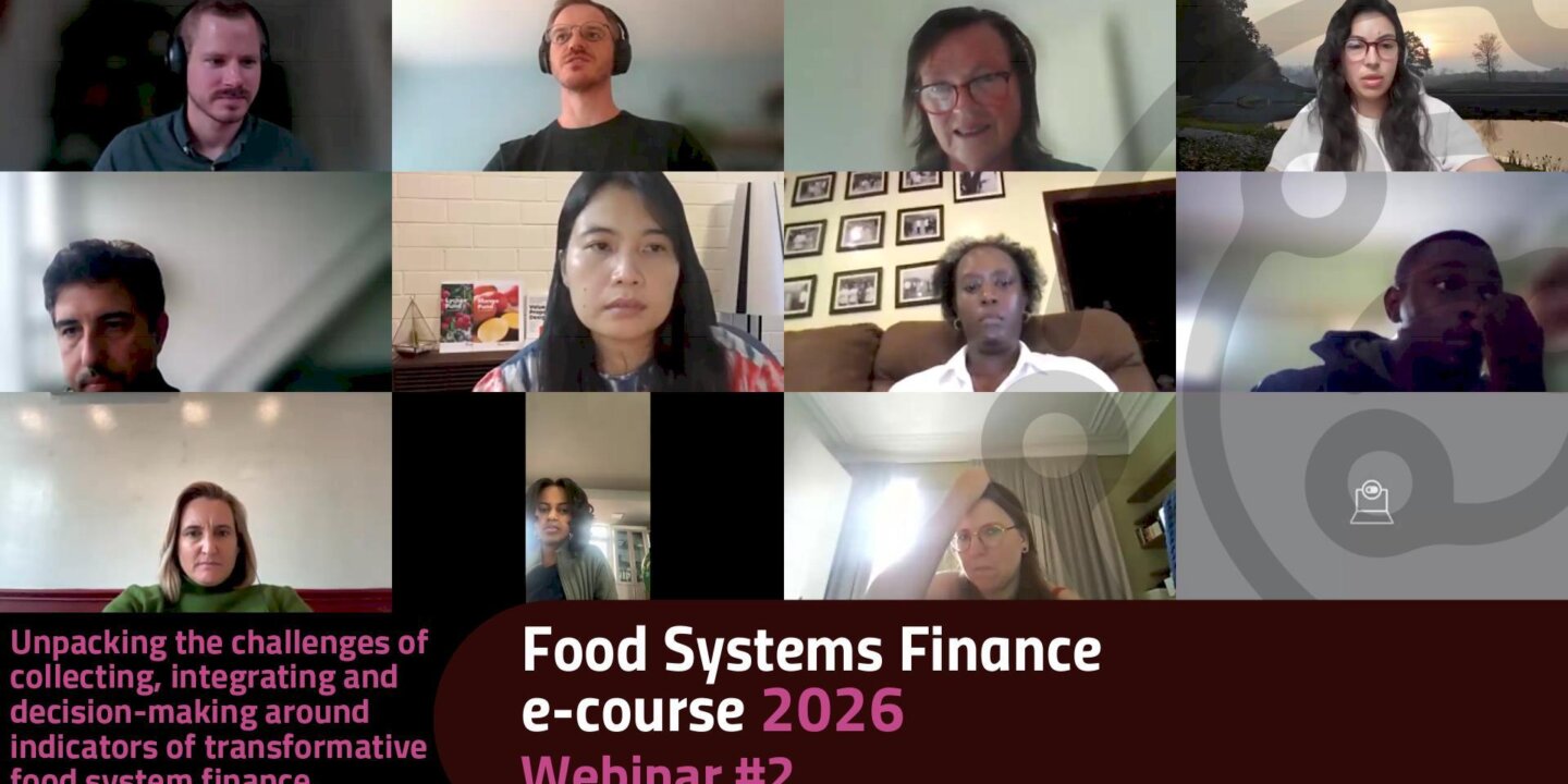 FS Finance second webinar