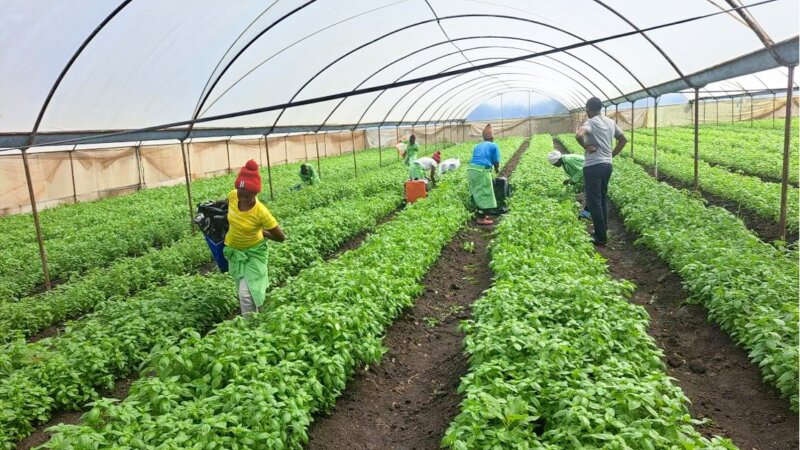 Finance That Fits the Rhythm of Agriculture