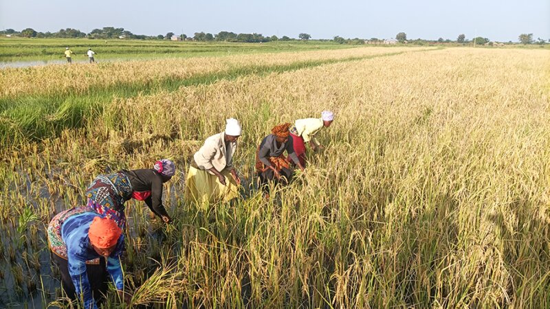 Even rivers change course, so why can't we?