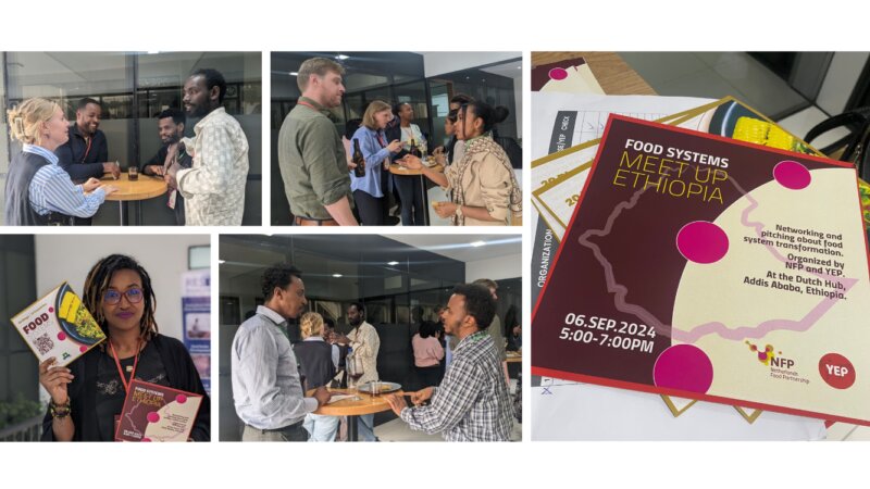 Igniting prospects for future food systems meetups