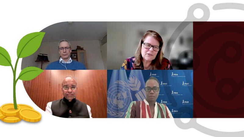 The Role of Finance in Food Systems Transformation – Webinar