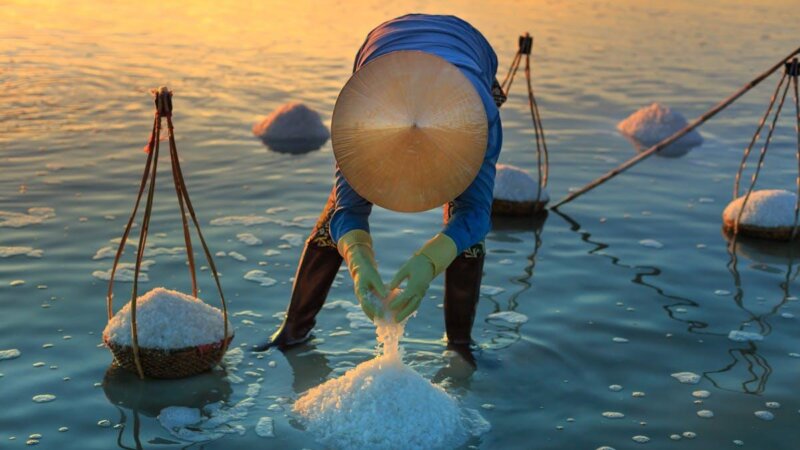 Salinity Scoping Study in Vietnam