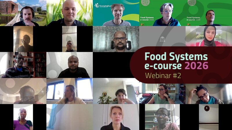 Systems Thinking and Foresight in Action: Module 2 Plenary Session (Video)