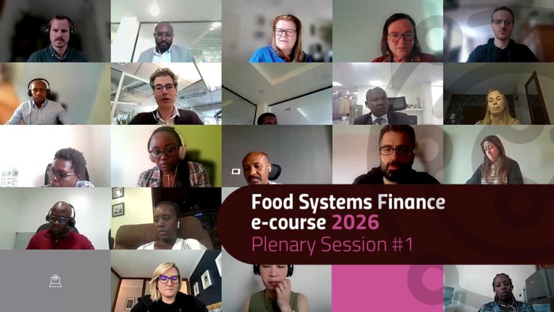 Bridging Finance for Sustainable Food Systems: The 2026 Food Systems Finance e-course Kicks Off (Video)