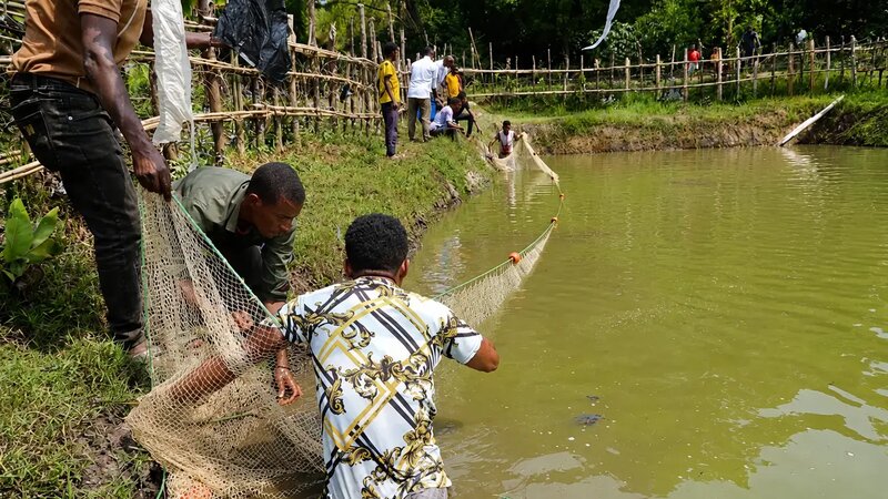 Integrated Farming: A Holistic Approach to Sustainable Food Systems