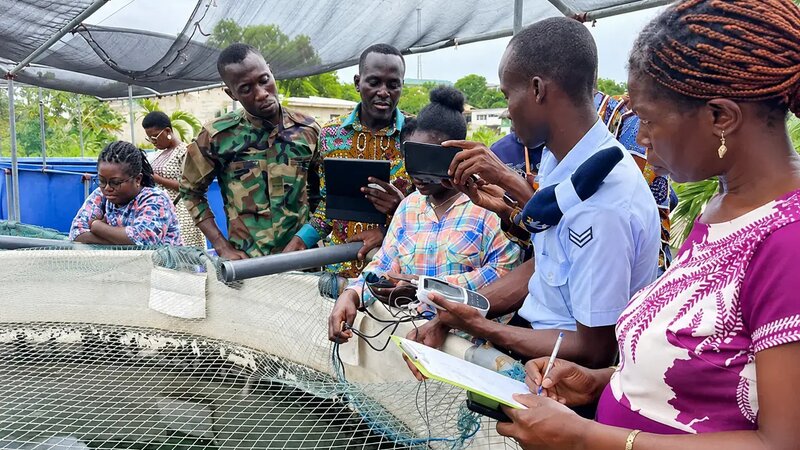 How Rising Fish Demand is Driving Aquaculture Growth in Ghana’s Urban Centres