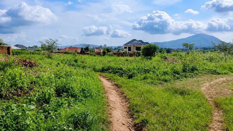 When Cities Grow, Farms Shrink: Why Malawi Must Align Housing and Agriculture Policies
