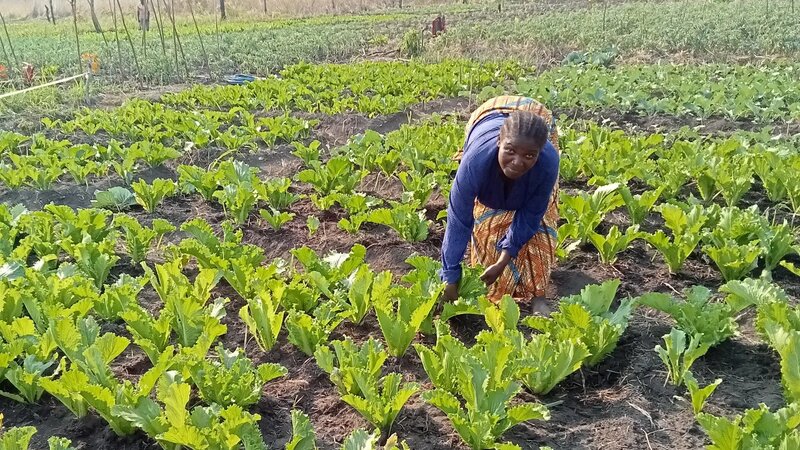 Refugees to Resilience: Unlocking Mayukwayukwa’s Path to Sustainable Food Systems