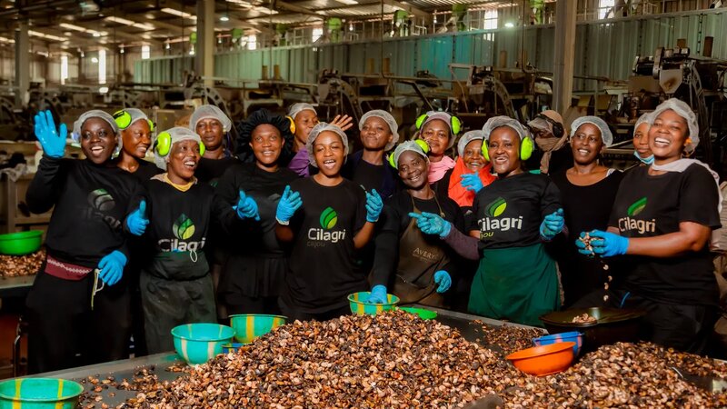Breaking the 27% Barrier: Transformation for Ivorian Cashew Sovereignty