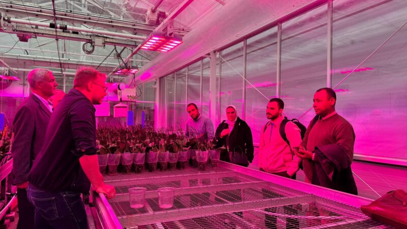 Egyptian Agribusiness Leaders Explore Dutch Agri-Education Models in Study Tour