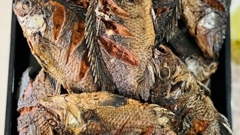 E course FST blog: eating fish improves the nutritional status of children