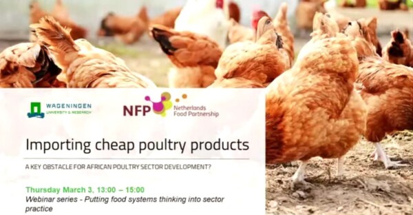 Poultry Screenshot 2026 06 19 135840