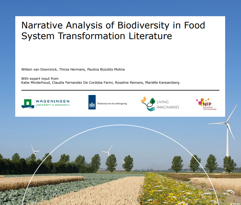 Screenshot 2025 12 11 094230