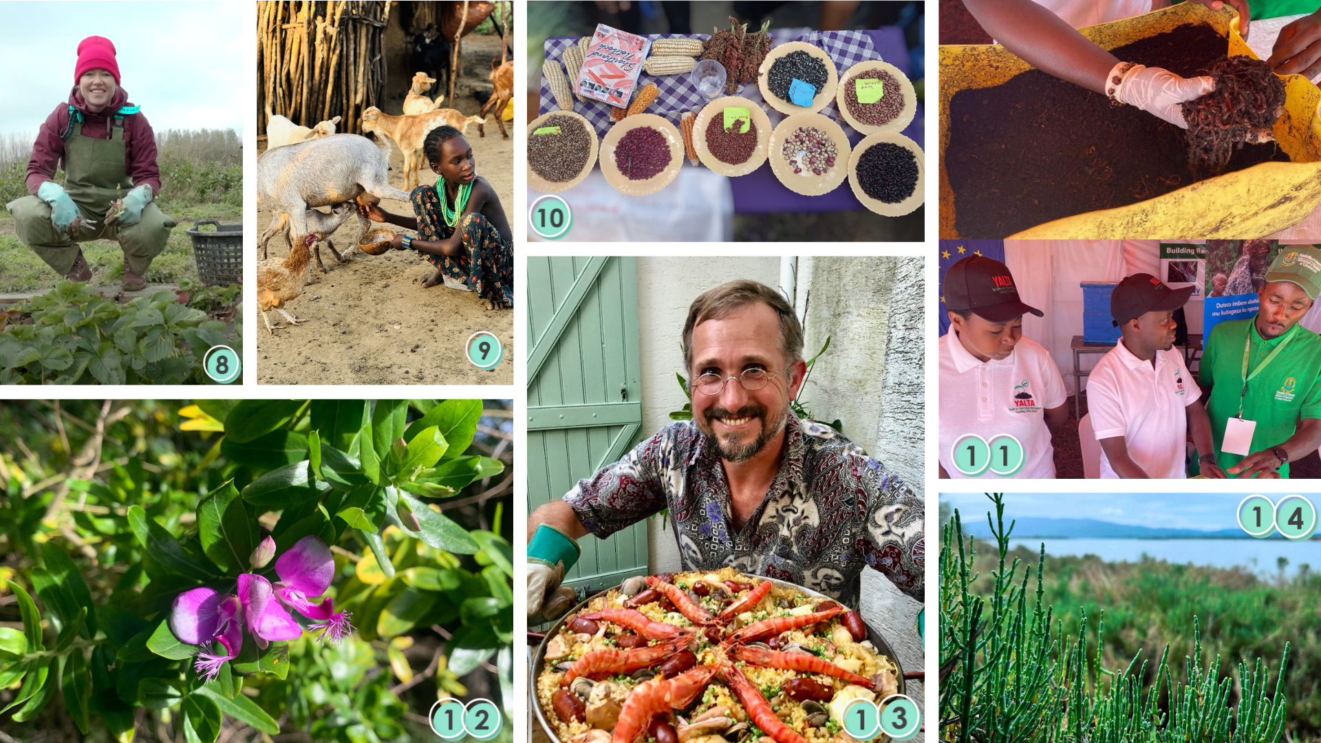 Travel Photo Collage Desktop Wallpaper 2