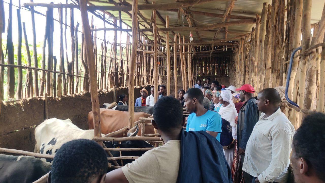 Whats App Image 2024 10 10 at 04 28 41 2